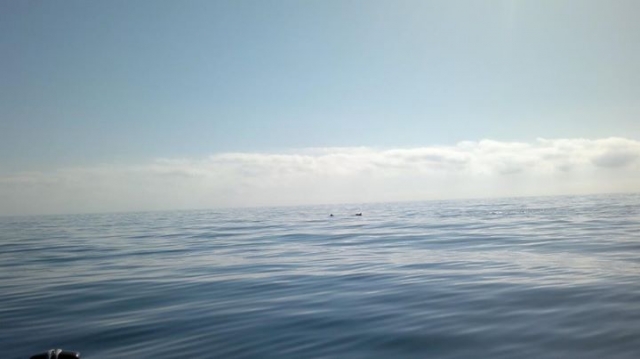 Excursiones en barco en Cullera